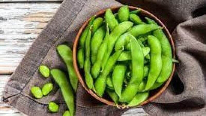 Diabetes dan 3 Penyakit Kronis Ini Diklaim Bakal Rontok Bila Rutin Ngemil Kacang Edamame, Coba Yuk!