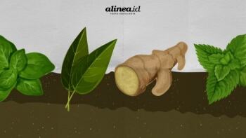 Jamu, warisan tradisional yang kian populer di masa pagebluk