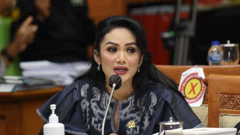 Buka-bukaan Isi Dompet Anggota DPR, Nilai yang Diungkap Krisdayanti Bikin Melongo, Setengah Miliar!