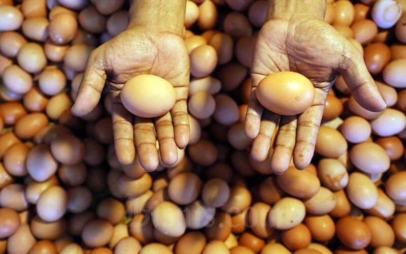 5 Makanan yang Membantu Mengurangi Lemak Perut