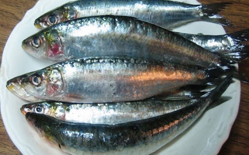 Ini Dia Makanan yang Paling Tinggi Kandungan Vitamin D, Wajib Konsumsi