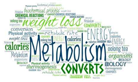 6 Kebiasaan Buruk Penghambat Metabolisme