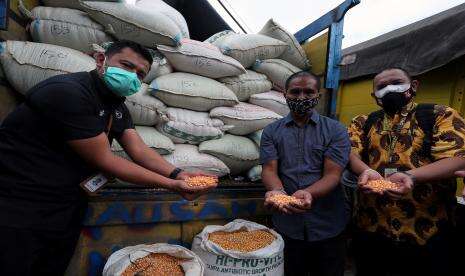 CIPS Dorong Pelonggaran Impor Jagung demi Kestabilan Harga