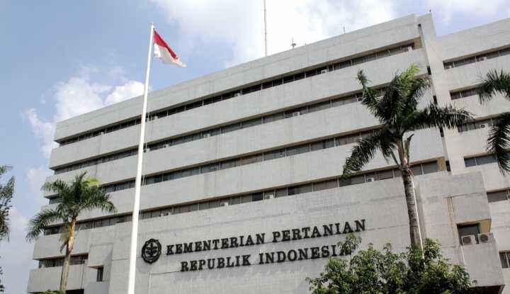 Varietas Benih Kunci Keberhasilan Budidaya