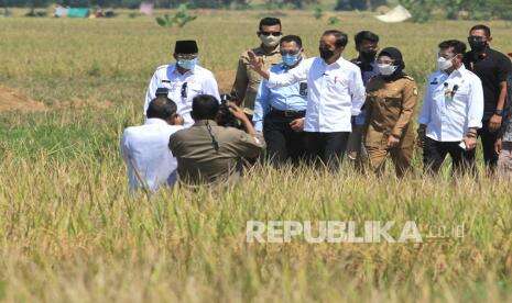 Jokowi Ingin Papua Barat Jadi Produsen Utama Pertanian