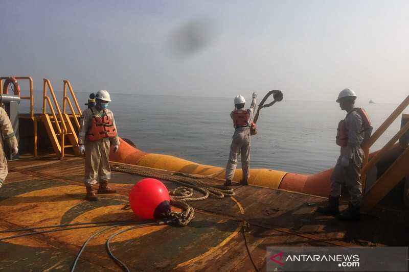 Waduh Ikan dan Burung Mati Berserakan di Pantai Akibat Tumpahan Minyak Tersapu ke California, Amerika