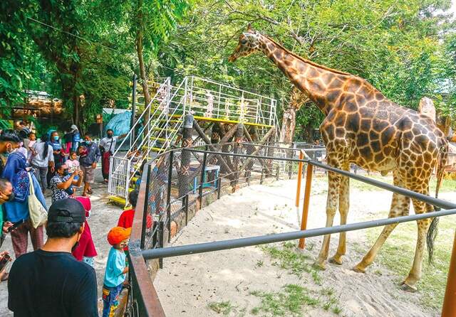 Anak-Anak Diizinkan Masuk KBS asal Orang Tuanya Sudah Divaksin