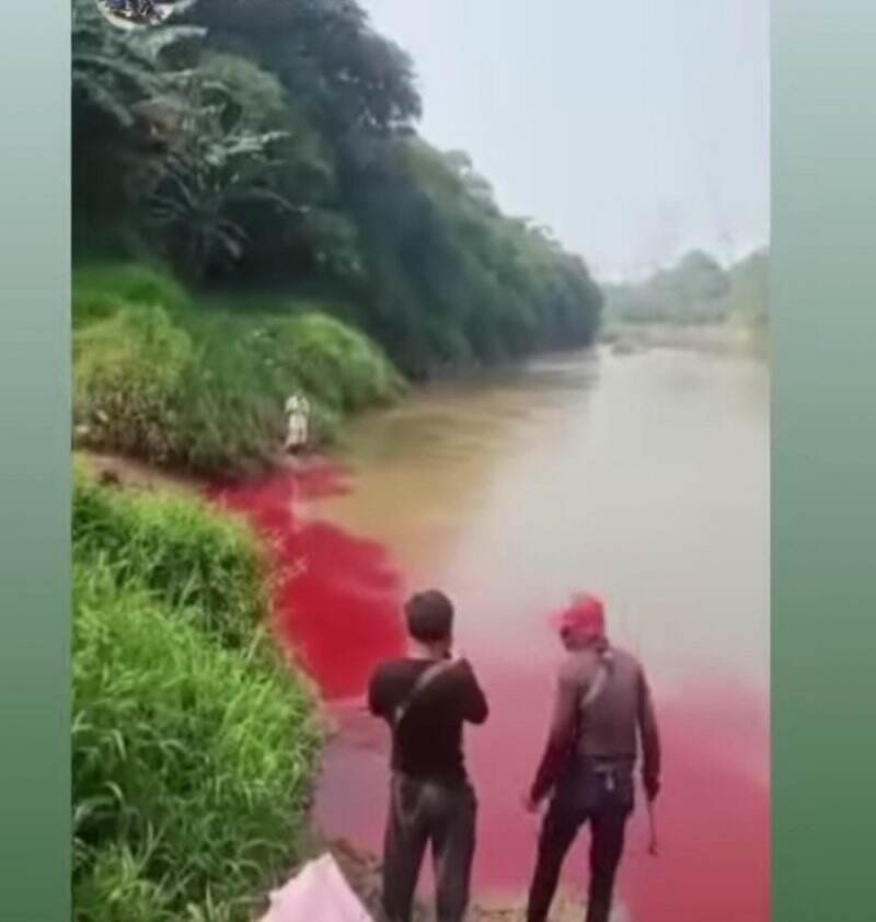Limbah Berwarna Merah Cemari Kali Cisadane di Serpong