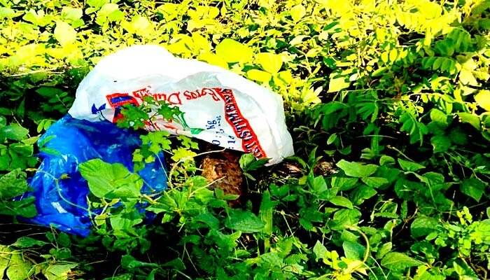 Peluru Mortir Aktif Ditemukan di Areal Perkebunan Sawit