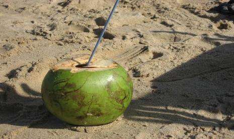 6 Manfaat Air Kelapa, Sumber Antioksidan dan Antipenuaan