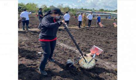 Puan Tanam dan Jajan Jagung Bareng Jokowi di Sorong Papua