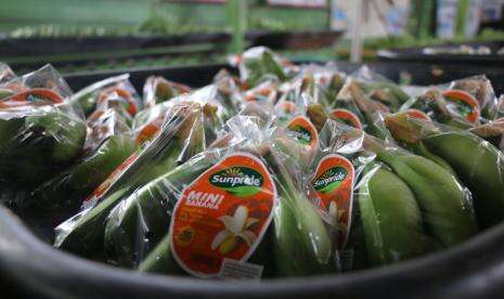 Pisang Mas Lampung Merambah Pasar Internasional
