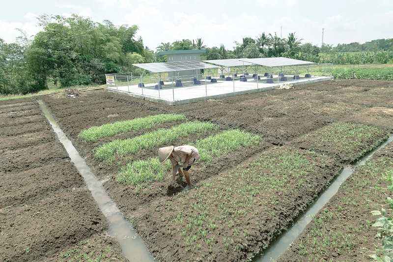 Peran Produsen Listrik Swasta Kembangkan EBT Lebih Terbuka