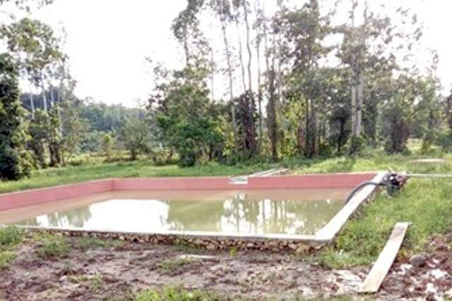 Manfaatkan Embung, Petani di Sorong Semakin Untung