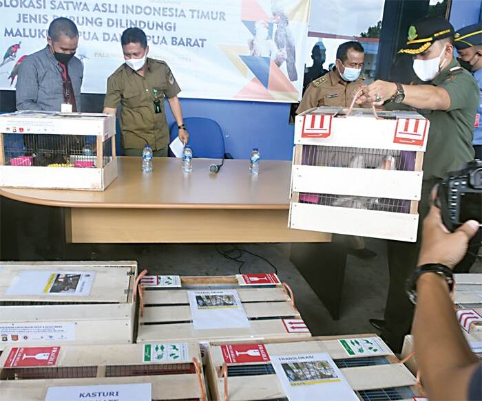 Polisi Gagalkan Penjualan Satwa Langka Khas Indonesia ke Luar Negeri