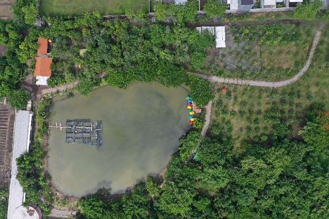 Tahura dan Kebun Raya Mangrove Siap Dibuka, Tunggu PeduliLindungi