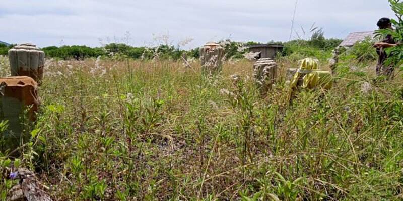 Memprihatinkan, Kondisi Situs Bersejarah di Aceh Tertutup Rumput dan Tumbuhan Liar