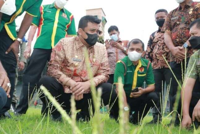 Dianggarkan Rp 1 Triliun, Pemkot Medan Mulai Rawat Stadion Teladan