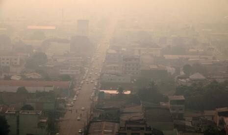 PBB Desak Negara Tingkatkan Komitmen Perlindungan Alam