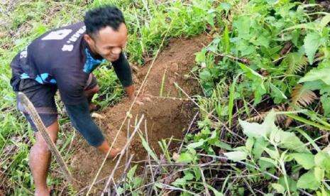 Pertanian Kopi Sulbar Butuh Perlindungan Harga