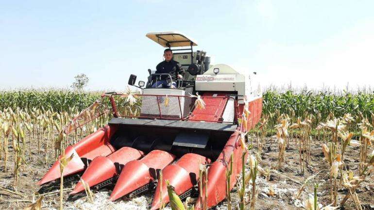 Akurasi Data Deputi BPS Klaim Data Jagung Pake Kerangka Sampling Area