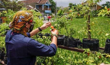 Rejowinangun Masuk 50 Desa Wisata Terbaik