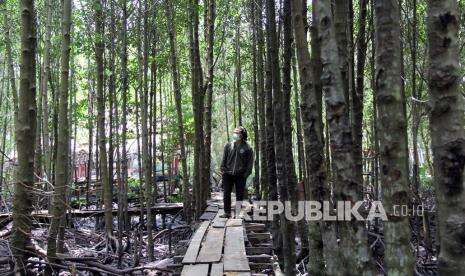 Pemprov Riau Dorong Daerah Gencar Promosi Wisata Digital