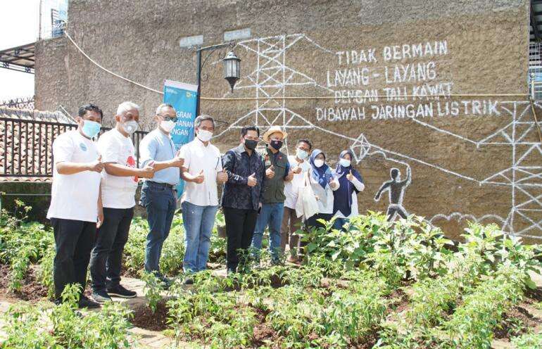 Halaman Masjid Jadi Lahan Pertanian Modern, Erick Tohir Puji Terobosan PLN