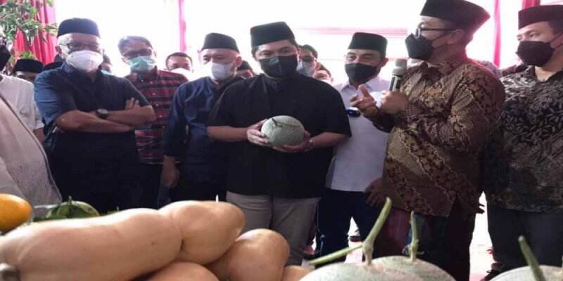 Perkuat Ketahanan Pangan, Kementerian BUMN Siap Suntik Modal untuk UMKM dan Koperasi Gaes!