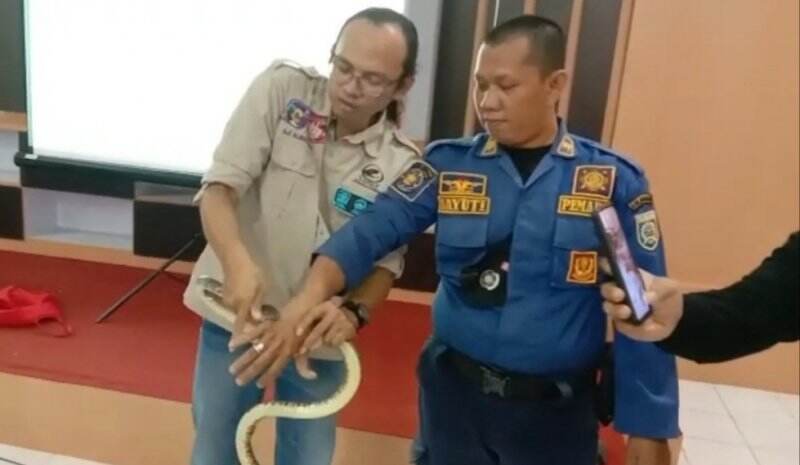 UPT Damkar Banjar Serap Ilmu Yayasan Sioux Ular Indonesia