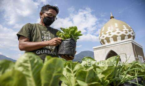 In Picture: Buruan Sehat, Alami dan Ekonomis di Masjid Asshidiq