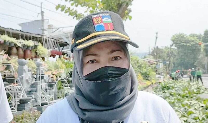 Pohon Rawan Tumbang Didata