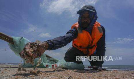 Pekalongan Siap Kampanyekan Gerakan Makan Ikan