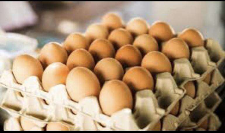 Kementan Gerakkan Solidaritas Membeli dan Konsumsi Telur Ayam Ras dari Peternak