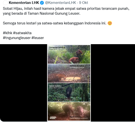 Ini Tempat Terakhir di Dunia, di Mana Gajah, Badak, Orangutan dan Harimau Hidup Bersama