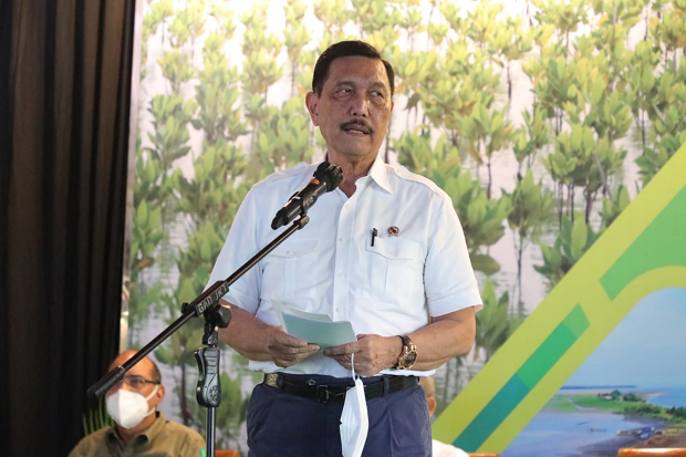Luhut Akui Sulitnya Pemutakhiran One Map Mangrove