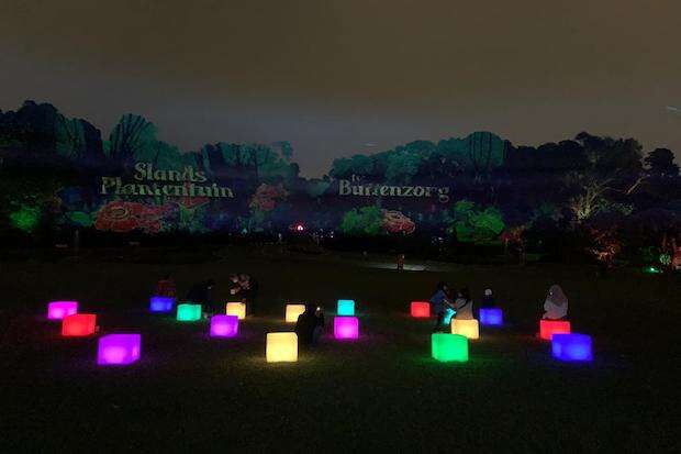 Intip Keindahan Edukasi Wisata GLOW Kebun Raya Bogor, Kekinian dan Instagramable Banget Lho!