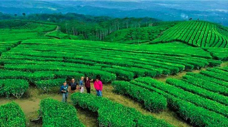 7 Tempat Wisata di Lumajang Harus Dikunjungi, Nomor 4 Konon Jadi Tempat Tinggal Para Dewa