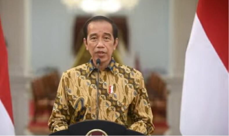Jokowi Resmikan Merger Pelindo, Biaya Logistik di Indonesia Bakal Lebih Murah