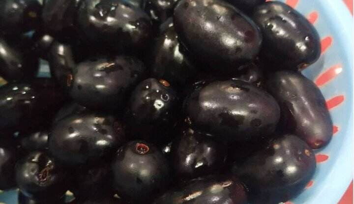 Apa Benar Konsumsi Buah Jamblang Tepat Bagi Penderita Diabetes? Ternyata Oh Ternyata…