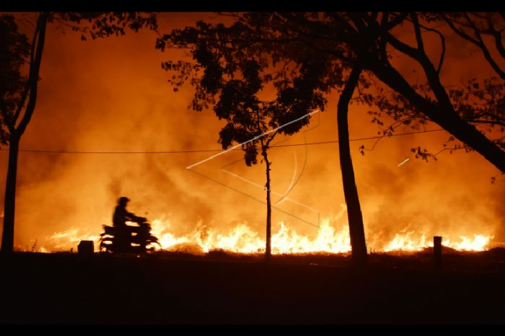Kebakaran Hutan Terjadi di Aceh Tengah dan Aceh Barat