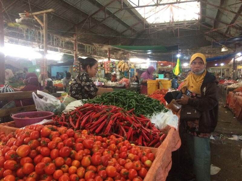 Harga Tomat Anjlok, Potensi Rugi Membesar