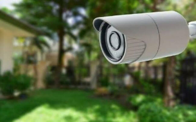 Jengkel Gurami Sering Dicuri Tetangga, Kolam di Tulungagung Dipasang 7 CCTV dan ini yang Terjadi