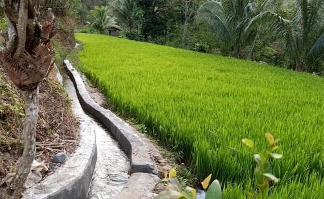 Kementan Gandeng Gubernur se-Indonesia Antisipasi Dampak La Nina
