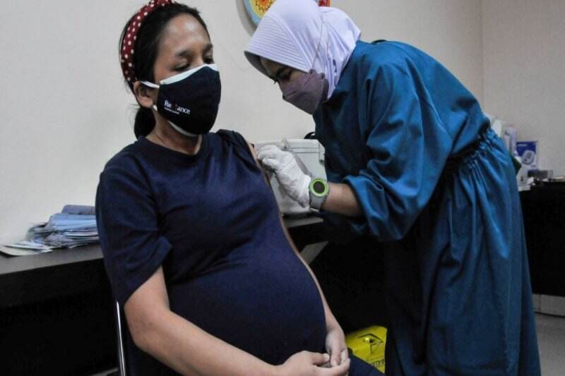 7 Buah Sebagai Bahan Makanan Penambah Darah untuk Ibu Hamil