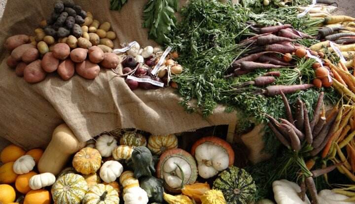 Top! Ini 3 Makanan Terbaik untuk Dikonsumsi Penderita Ambeien