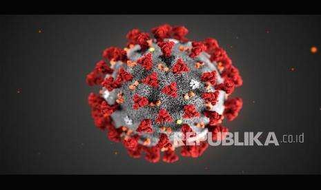 Vaksin Baru Kelak Dapat Atasi Semua Jenis Virus Corona