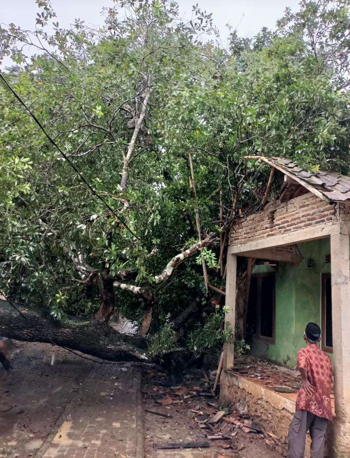 Rumah Warga Cinangka Rusak Tertimpa Pohon