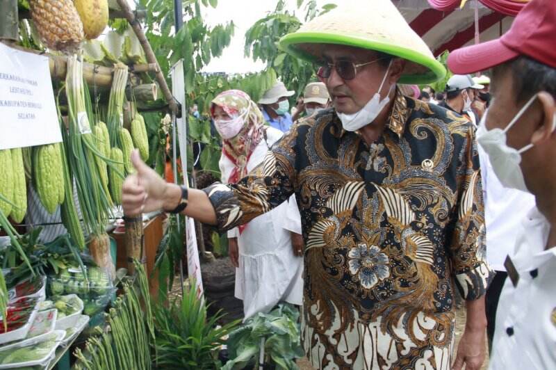 Wakil Ketua MPR Dorong Daerah Tingkatkan Komoditas Pangan