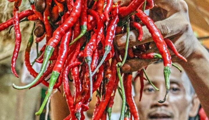 Dibayangi La Nina, Waspadai Lonjakan Harga Pangan